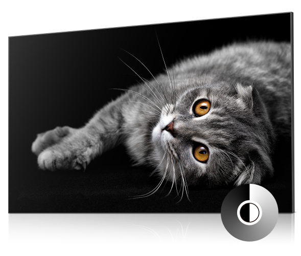 Display image of a sharply defined gray cat on a deep black background. In the lower right corner is an icon with a small white circle superimposed on a large black circle, symbolizing IPS Black's superior contrast ratio and deep blacks.