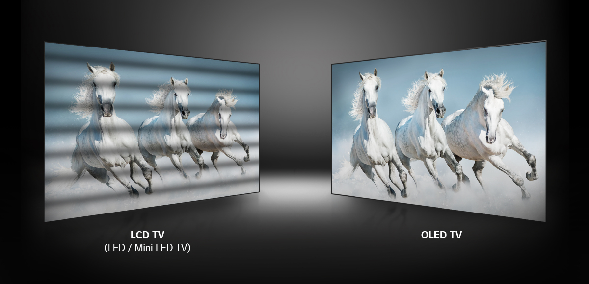 The two screens show three white horses running in the same way, but LCD TV blinks in the middle, while OLED TV does not.