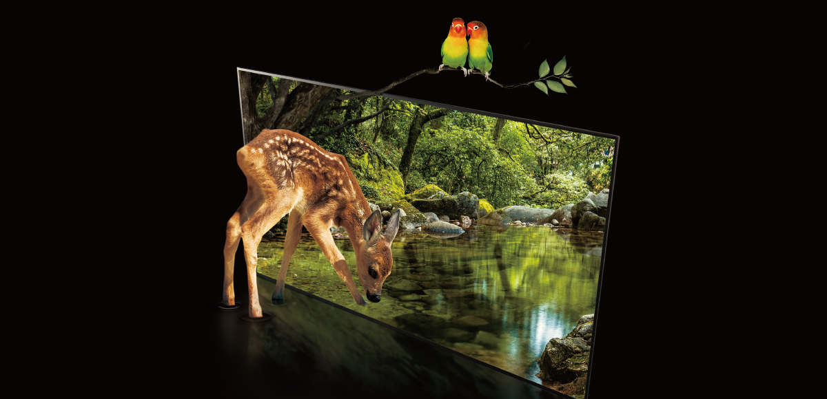 A deer rushes into OLED TV with a green forest, and two rainbow birds sit on the branches above it.