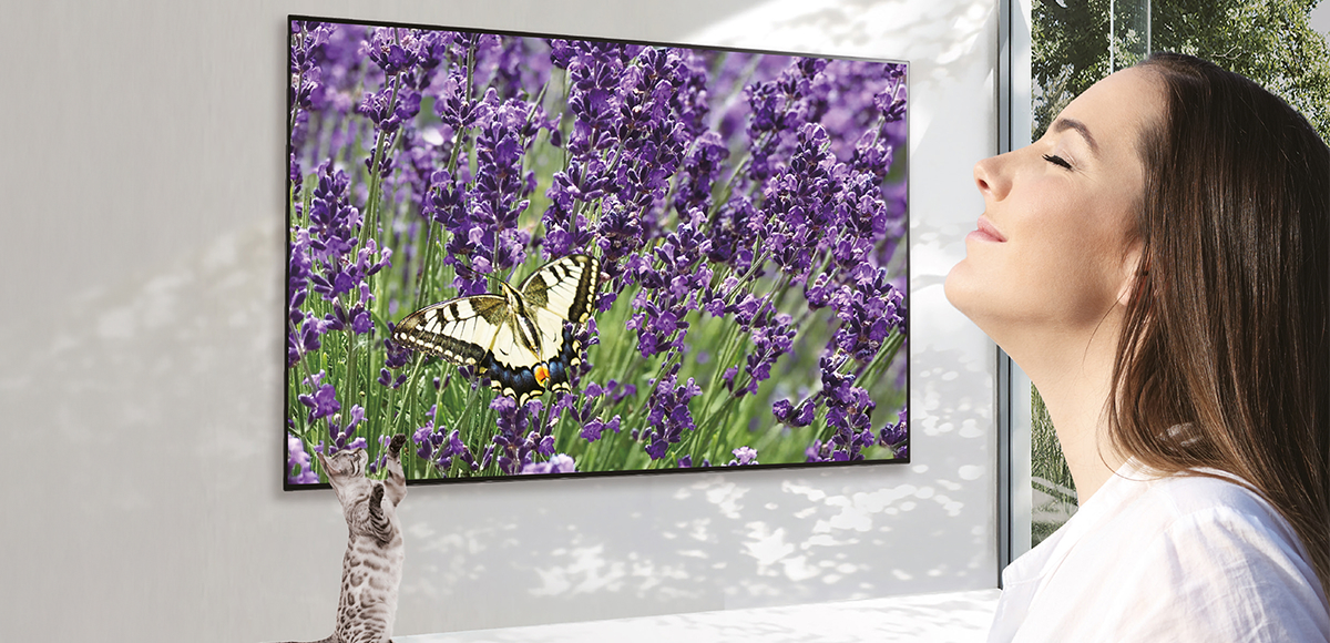Purple flowers, grass, and an agaeha are being watched on TV, a woman is smelling in front of the TV, and the kitten under the TV is making a mess of the agaeha on the screen.